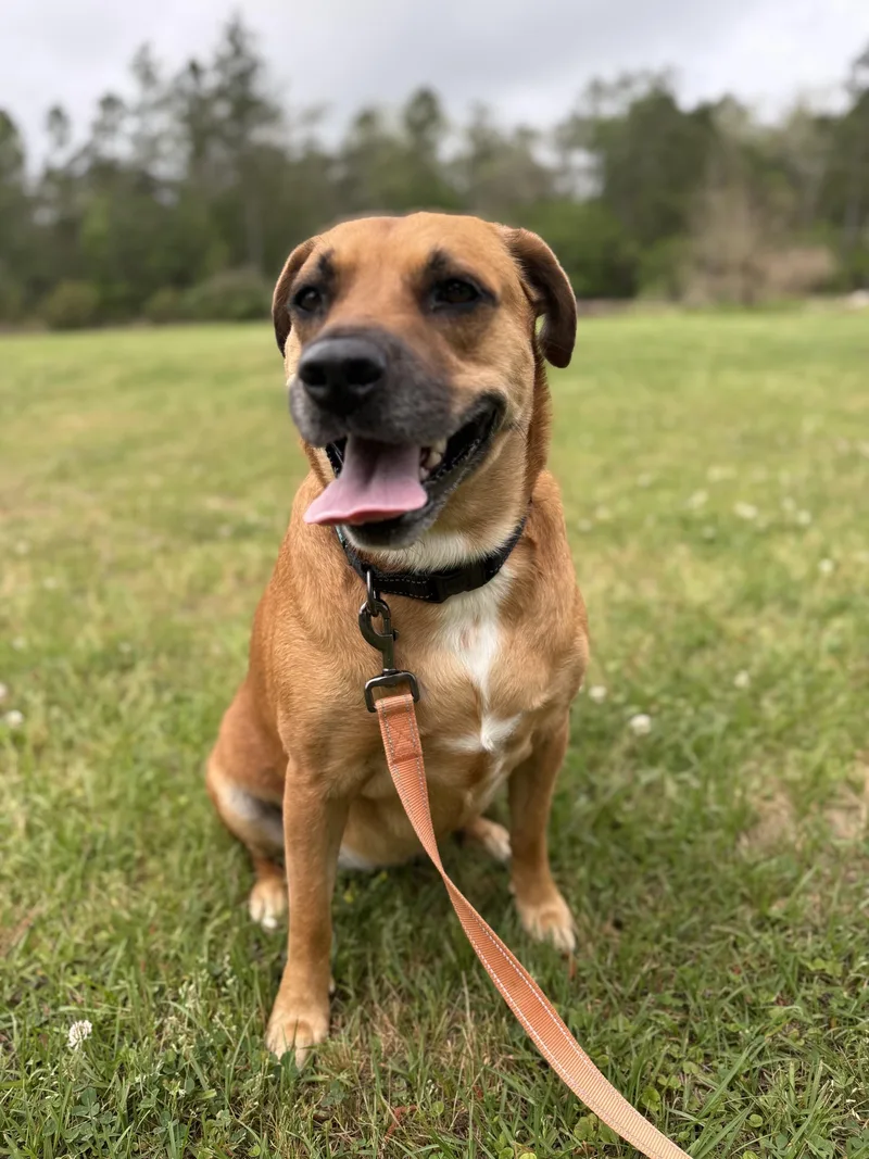 Smiling Lila