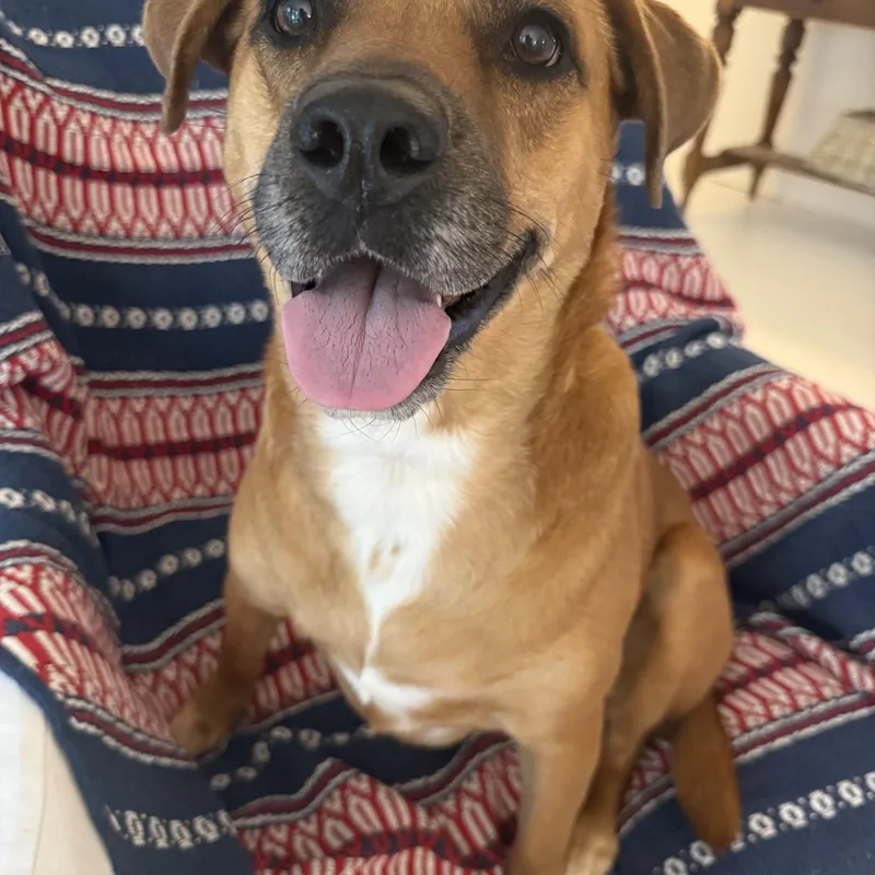 Smiling Lila thumbnail 2