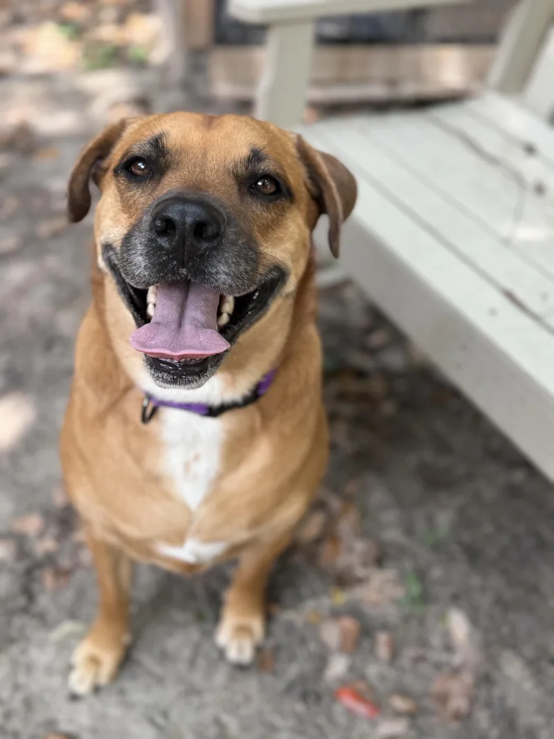 Smiling Lila thumbnail 3