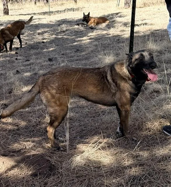 Lula located in CO thumbnail 5