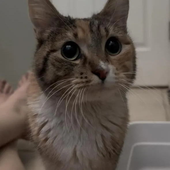 Twix Hughes thumbnail 2