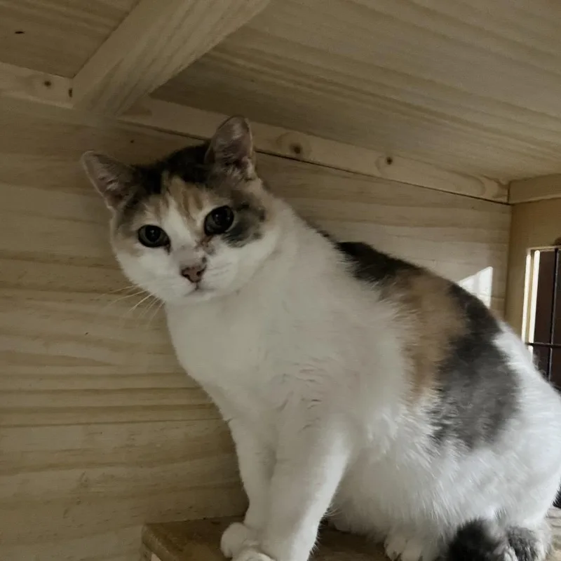 Rebeckah thumbnail 4