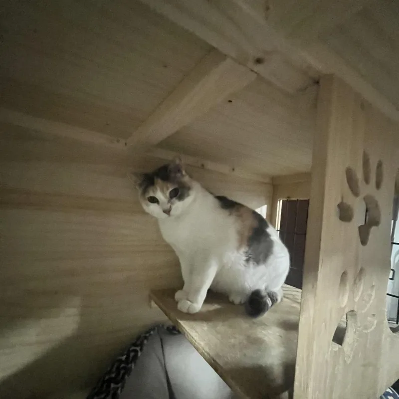 Rebeckah thumbnail 5