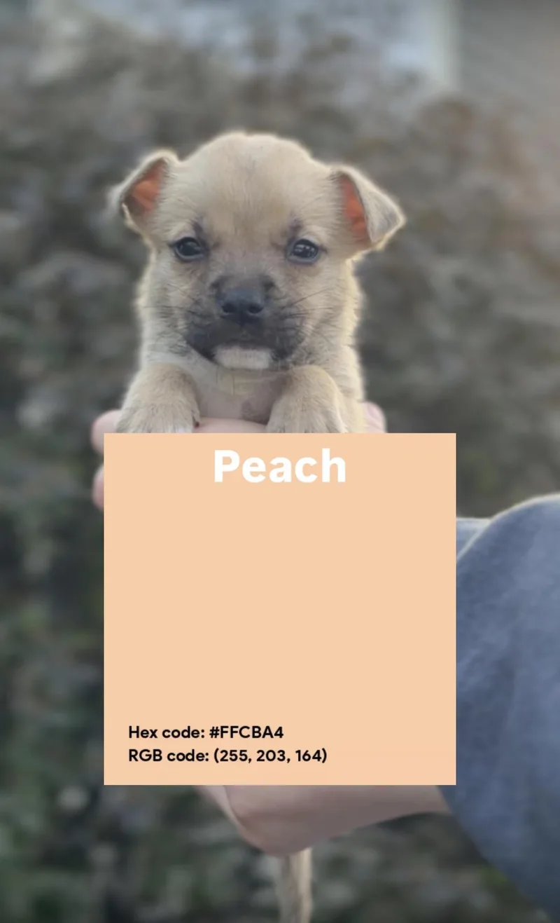 Peach