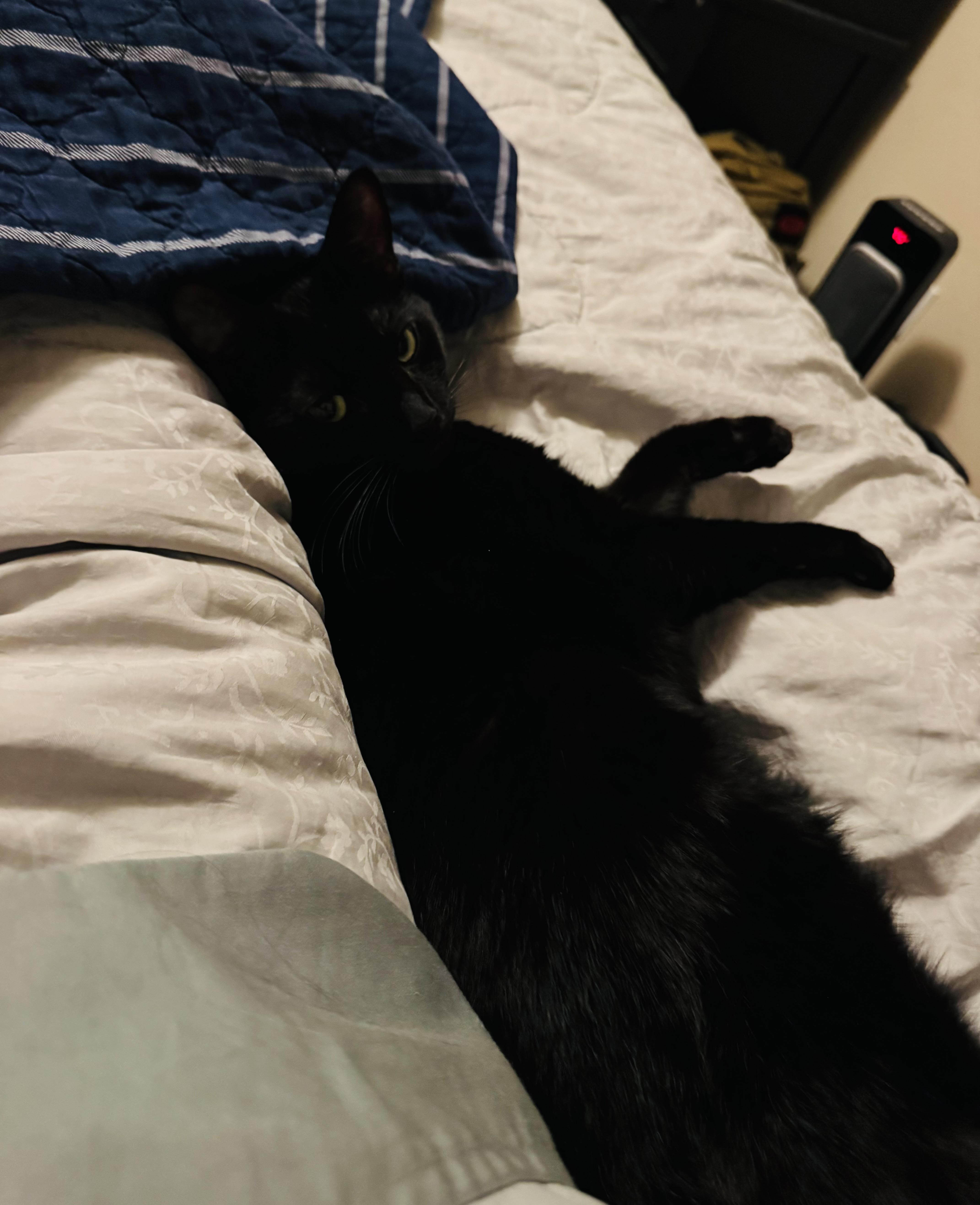 Ross And Rachel thumbnail 2