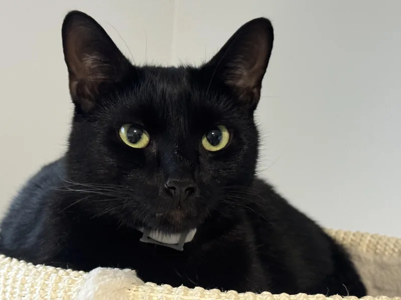 Ross And Rachel thumbnail 3