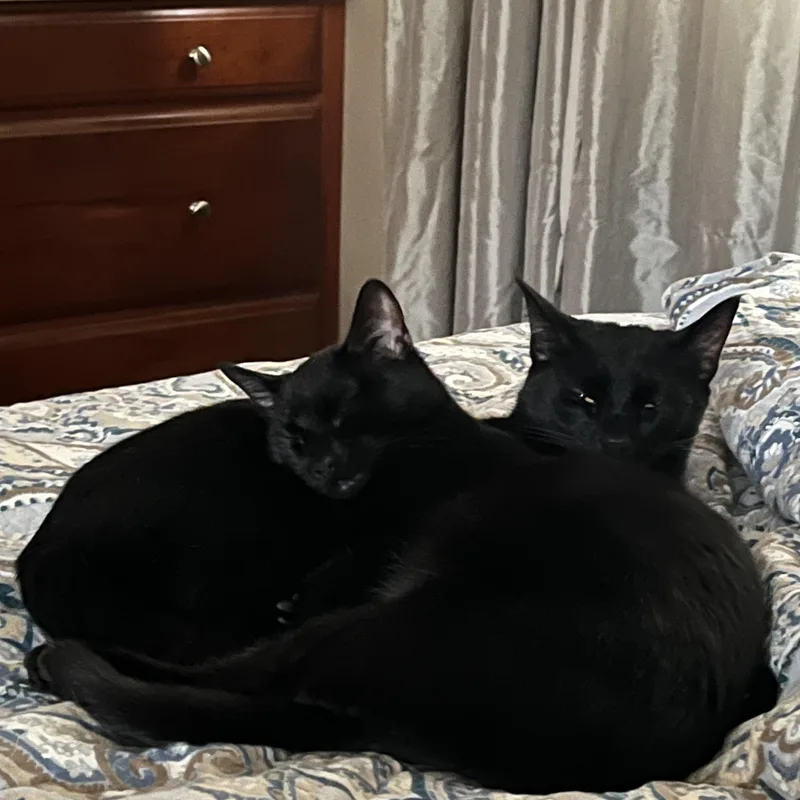 Ross And Rachel thumbnail 5