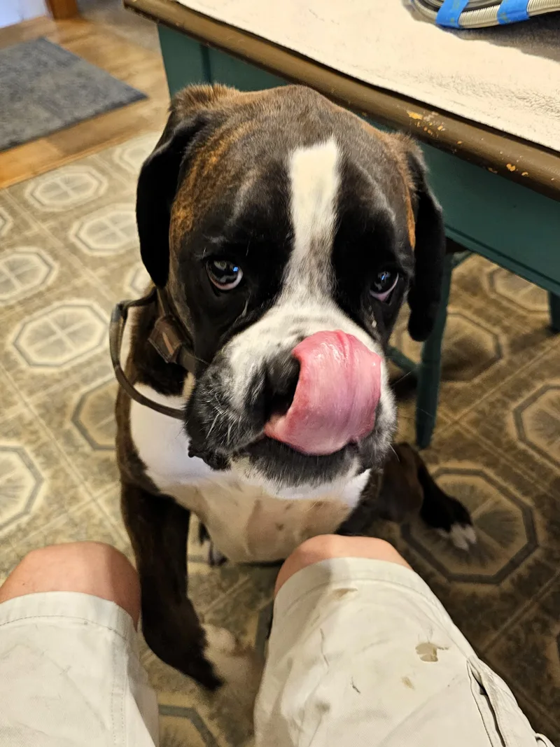 Tyson thumbnail 5