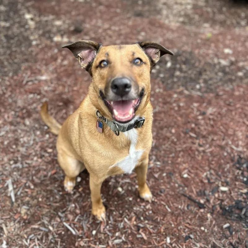 Cosmo