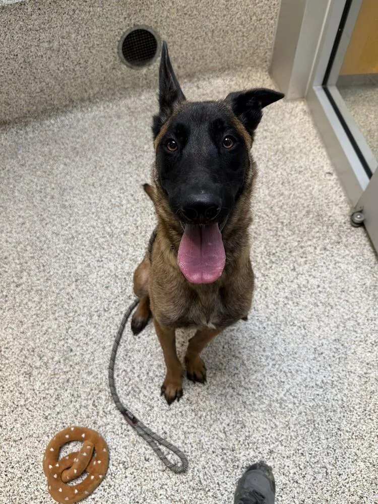 Slinky Located In California