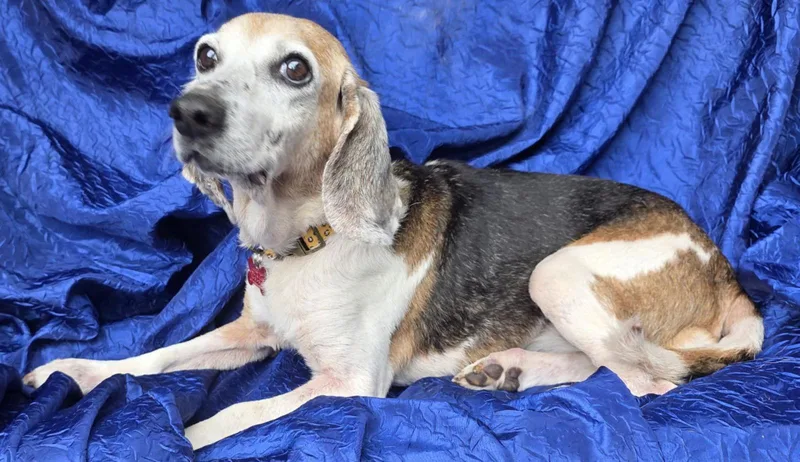 Lucy Dawson thumbnail 2