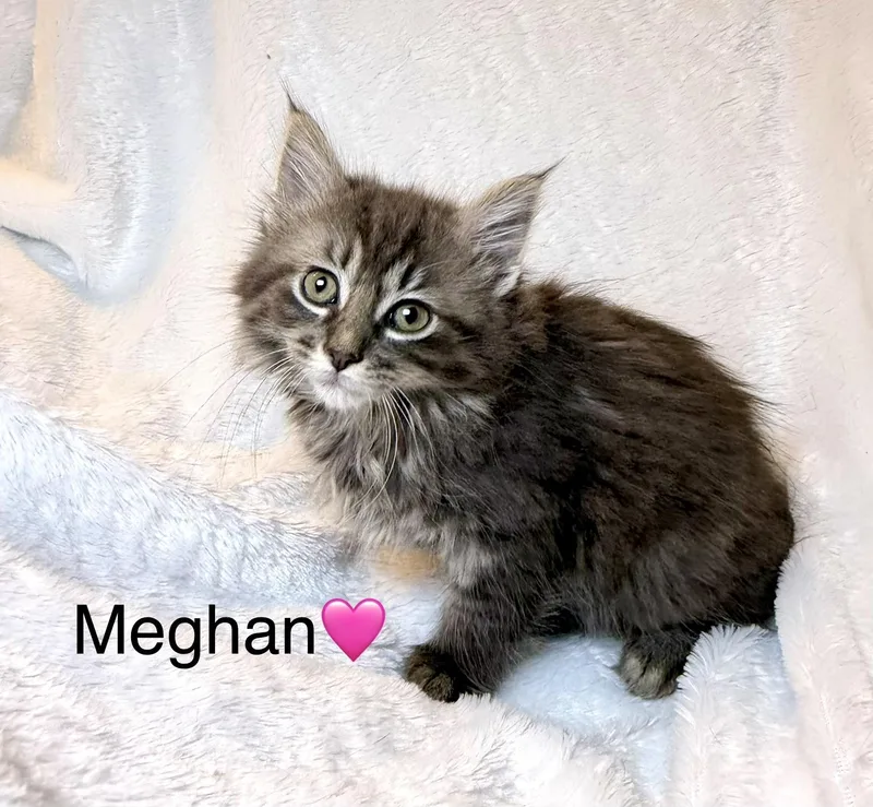 Megan