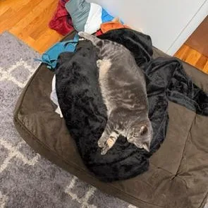 Mando And Grogu thumbnail 2