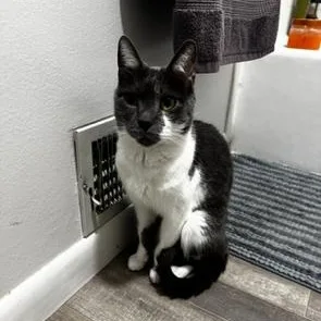 Mando And Grogu thumbnail 3