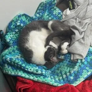 Mando And Grogu thumbnail 4