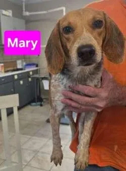 Mary