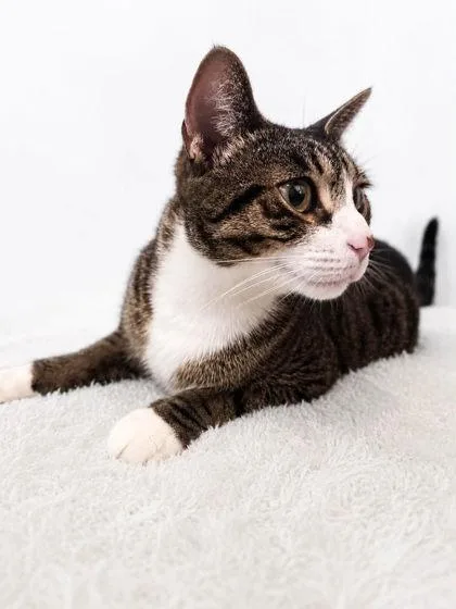 Maddy Catty thumbnail 2