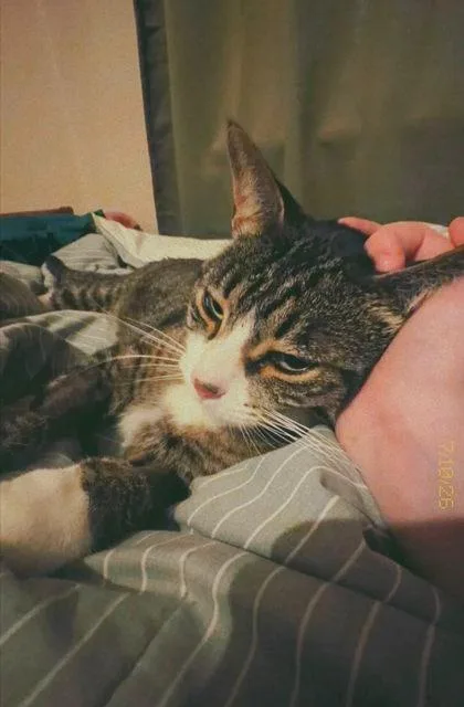 Maddy Catty thumbnail 3
