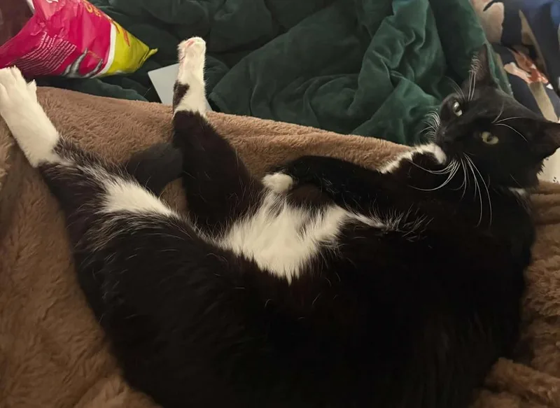 Maisey thumbnail 5