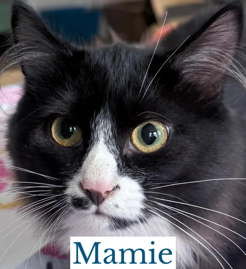 Mamie thumbnail 2