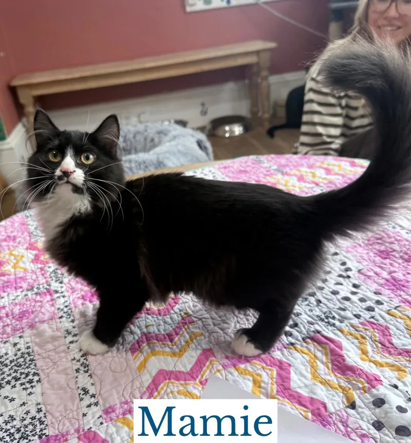 Mamie thumbnail 3