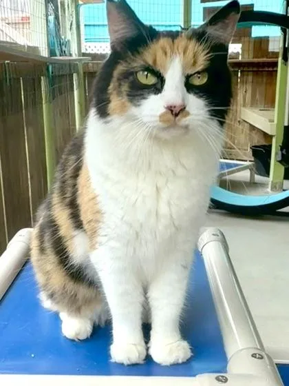 Tina