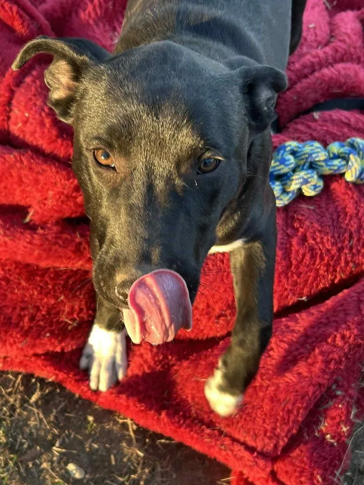 Ken Ashcraft thumbnail 2