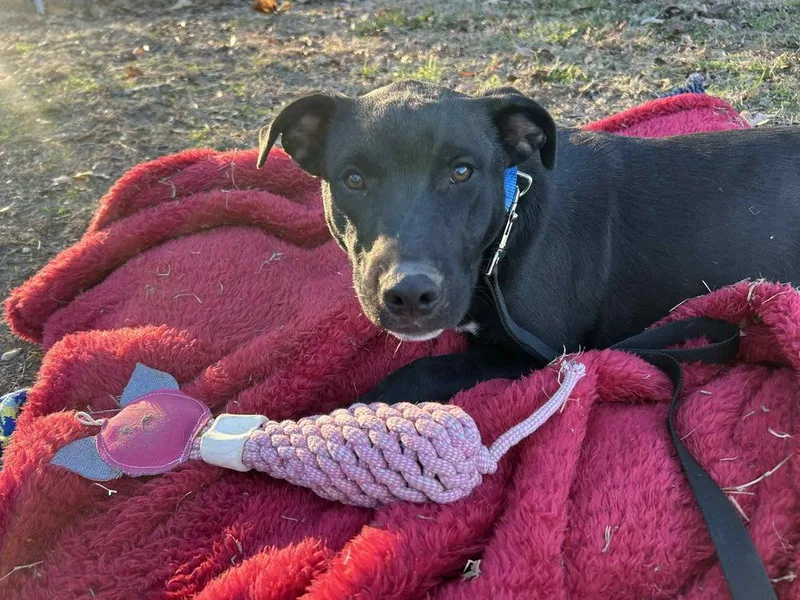 Ken Ashcraft thumbnail 3