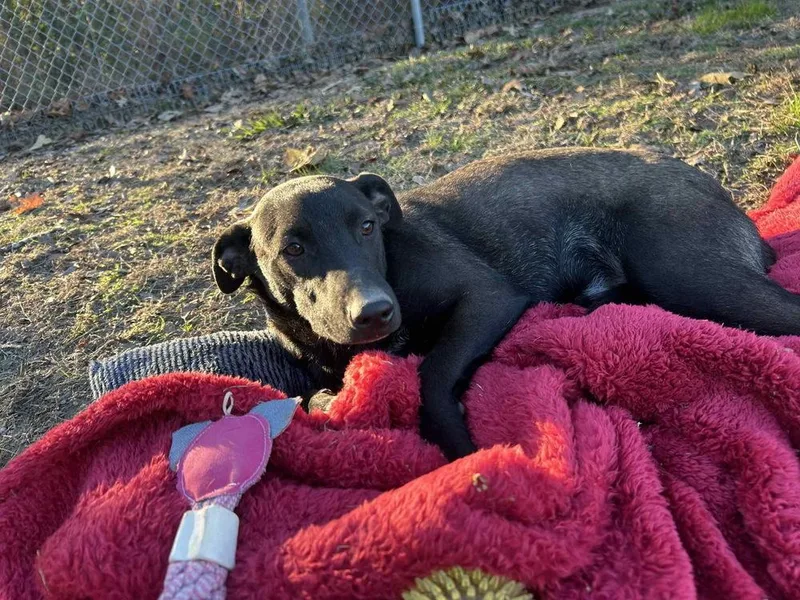 Ken Ashcraft thumbnail 4