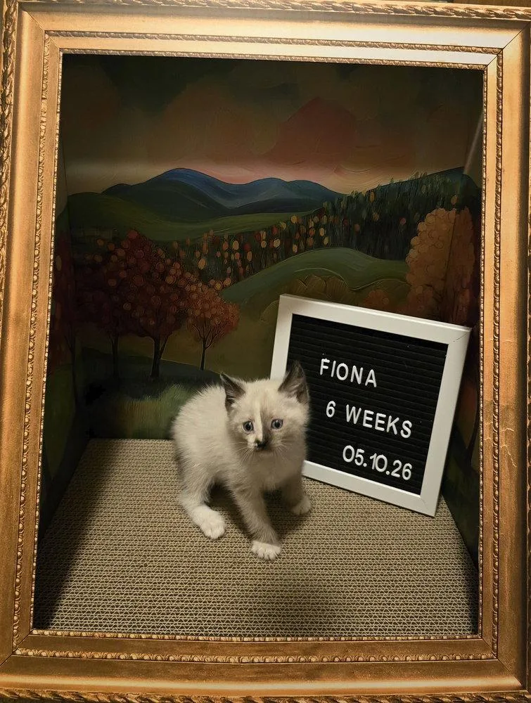 Fiona thumbnail 2
