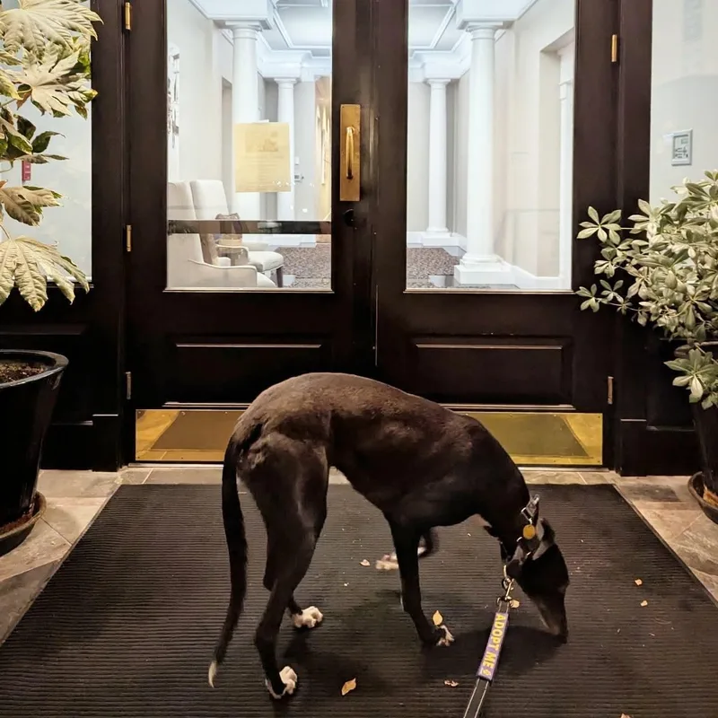 Ice Cream thumbnail 2