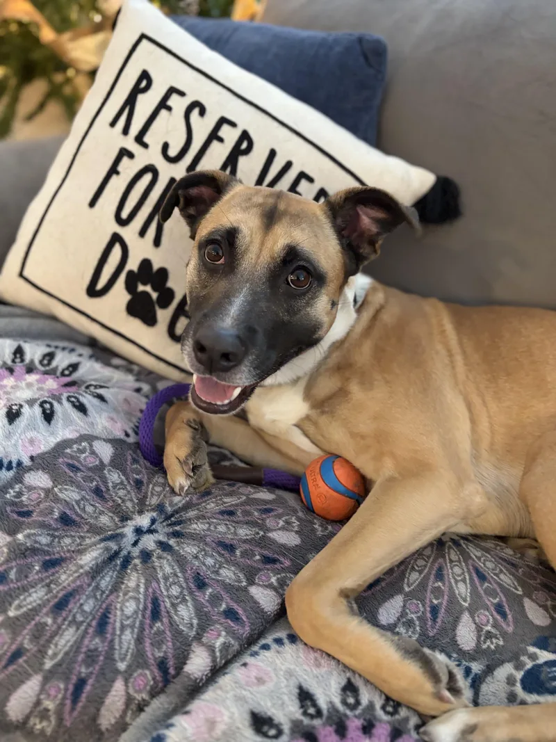 Roscoe