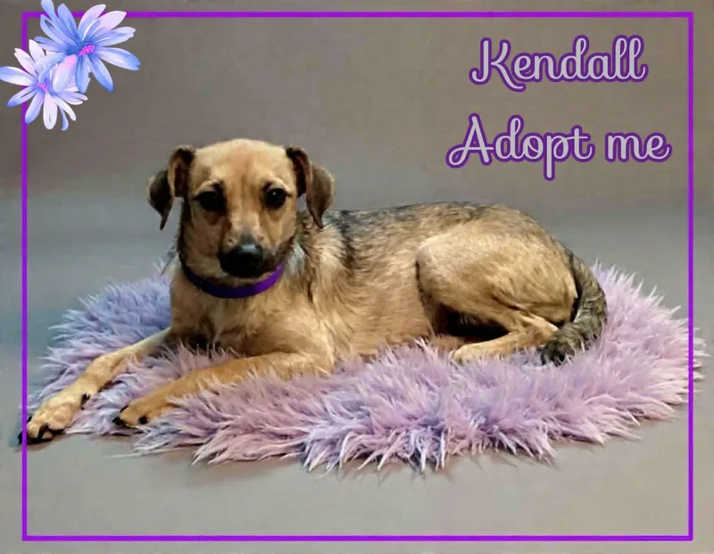 Kendall thumbnail 3