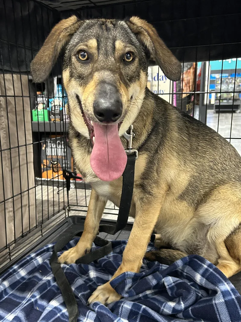 Gabrielle thumbnail 2