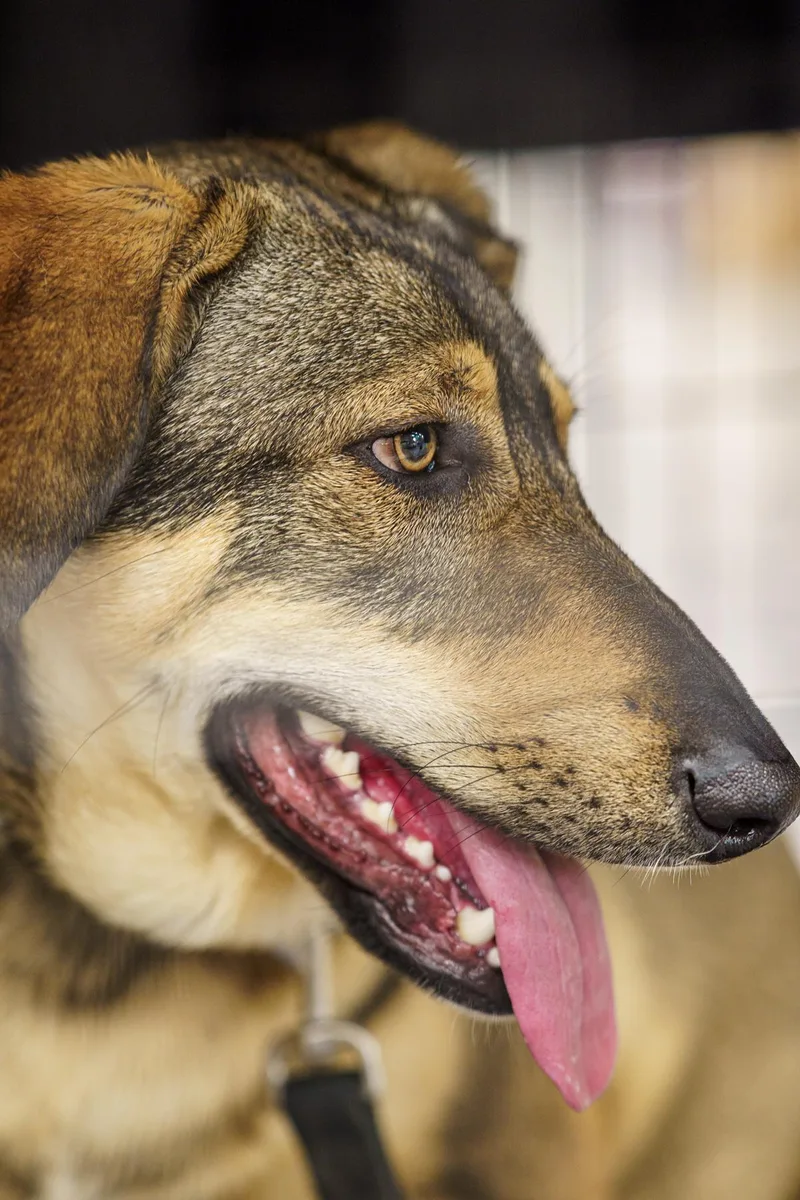 Gabrielle thumbnail 4