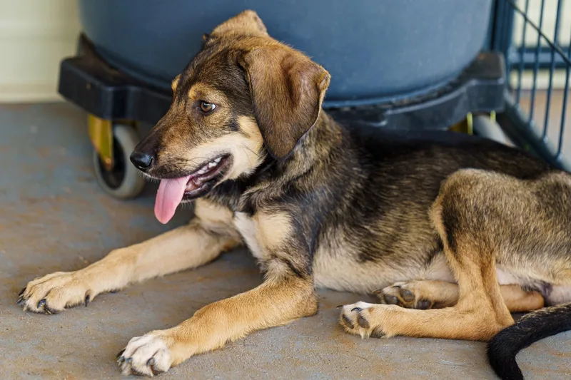 Gabrielle thumbnail 5