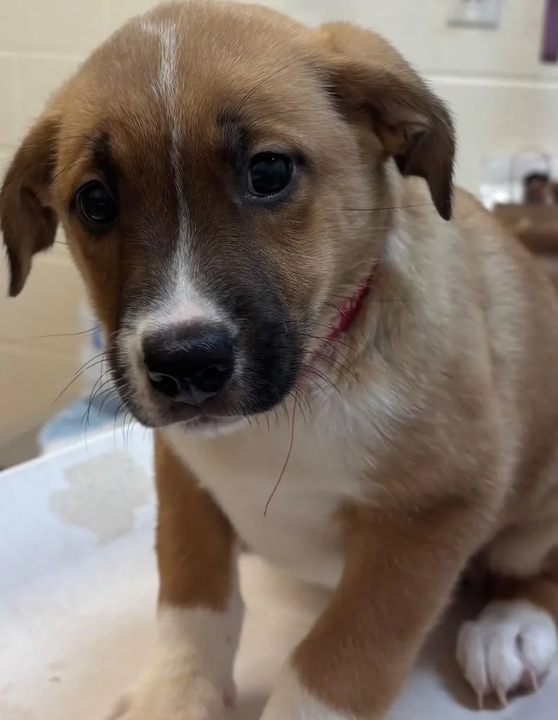 Charlotte thumbnail 2