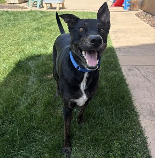 Jabarkus thumbnail 3