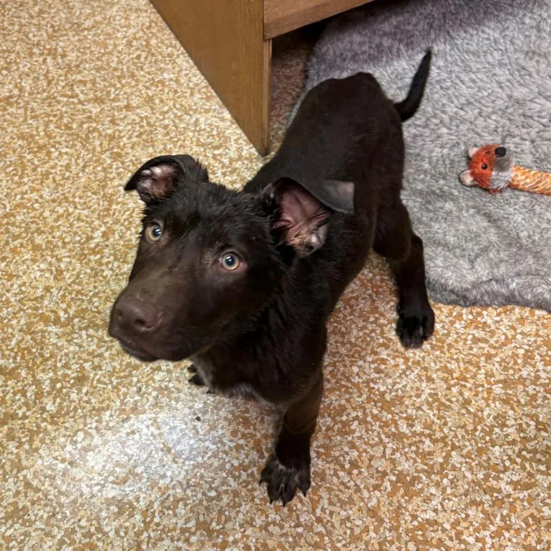 Ichiro Suzuki thumbnail 2