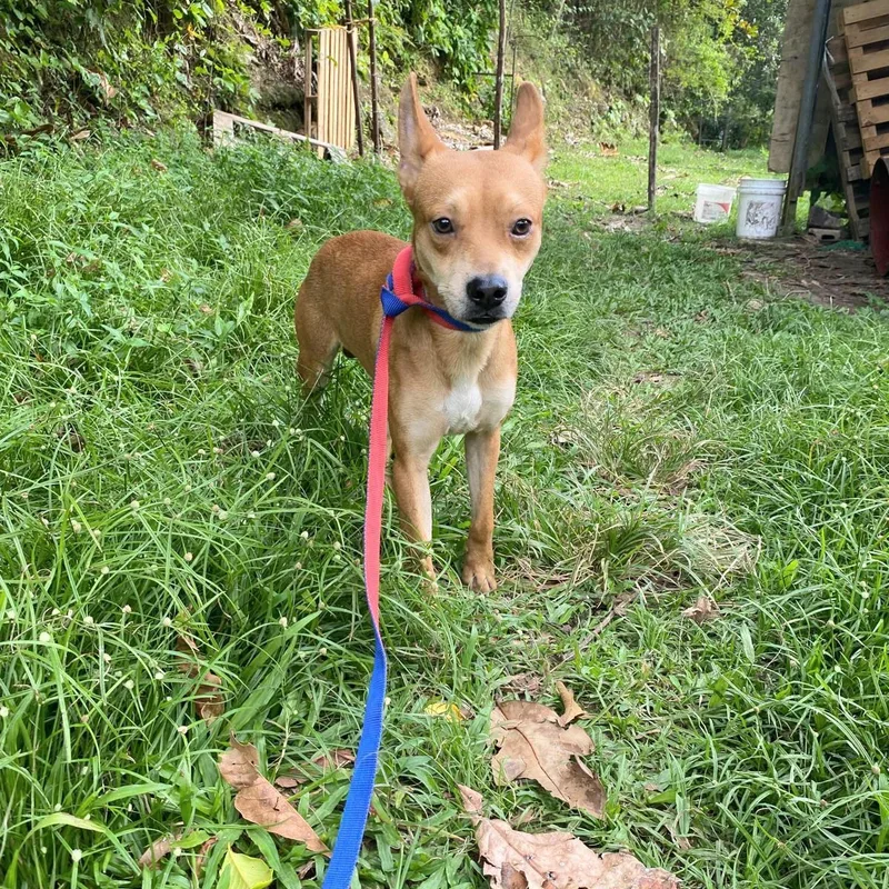 Cheesy "let's Be Together." thumbnail 3