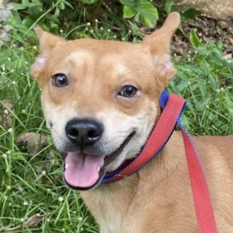 Cheesy "let's Be Together."