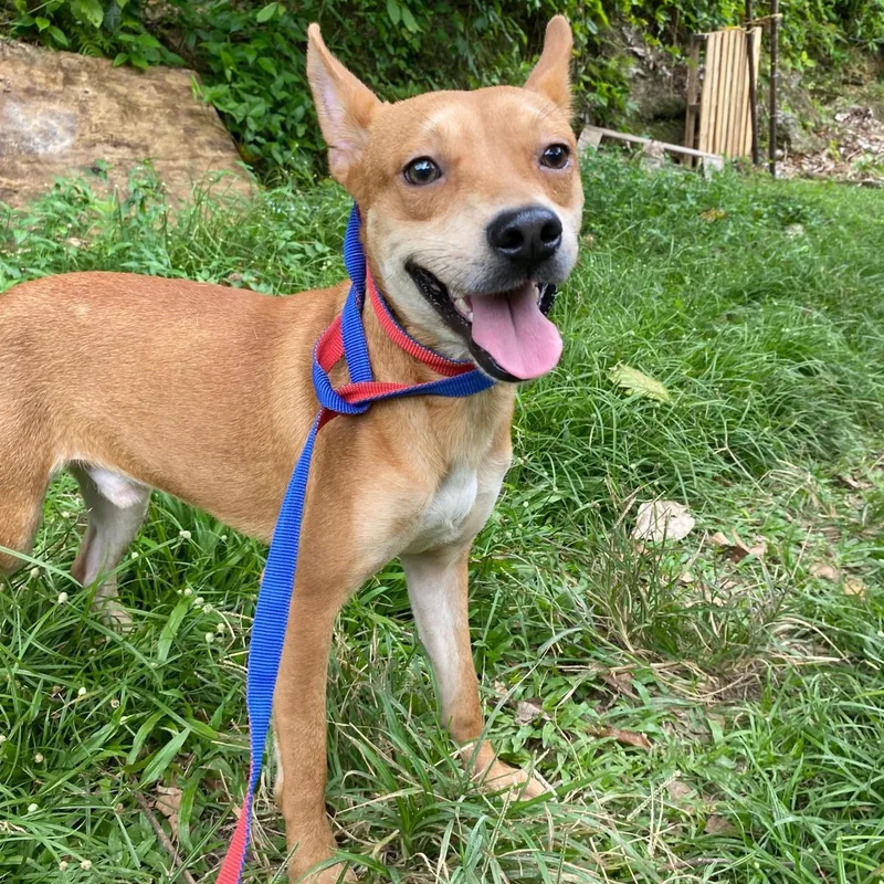 Cheesy "let's Be Together." thumbnail 4