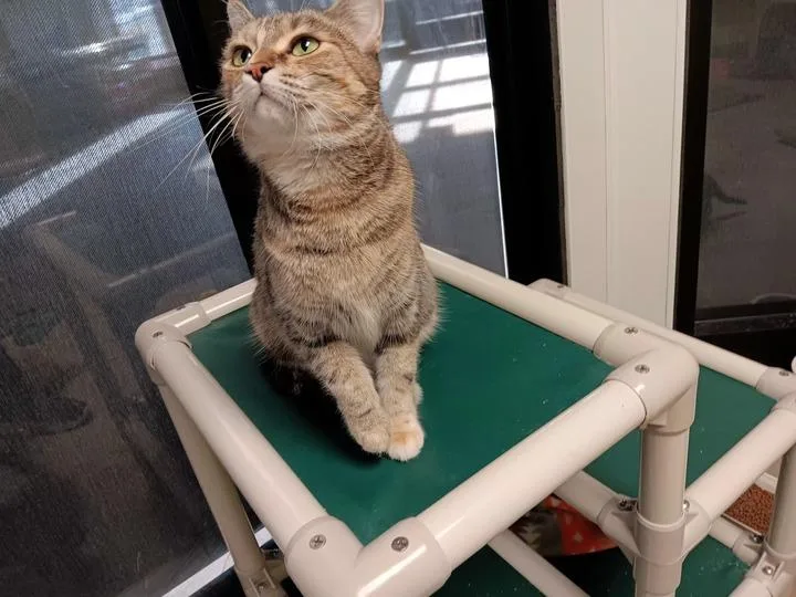 Martha May thumbnail 2