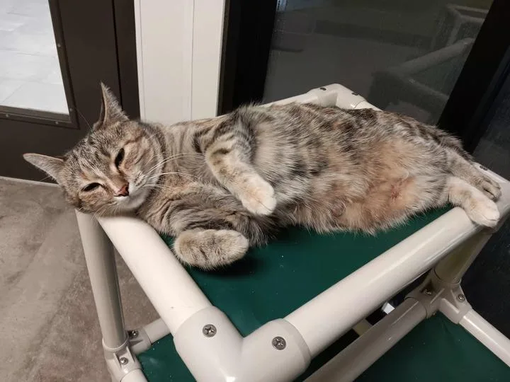 Martha May thumbnail 3