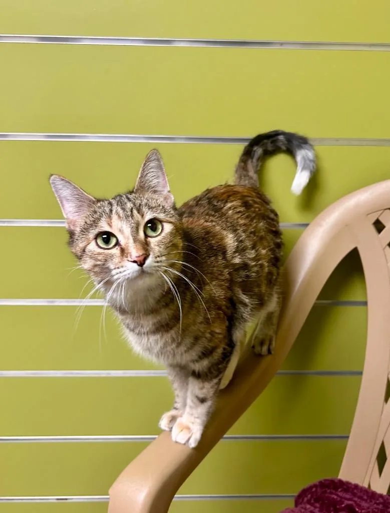 Martha May thumbnail 4