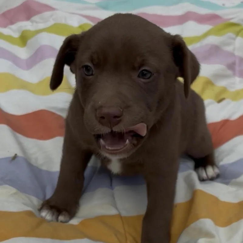 Phoebekate thumbnail 2