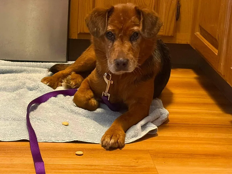 Bonnie