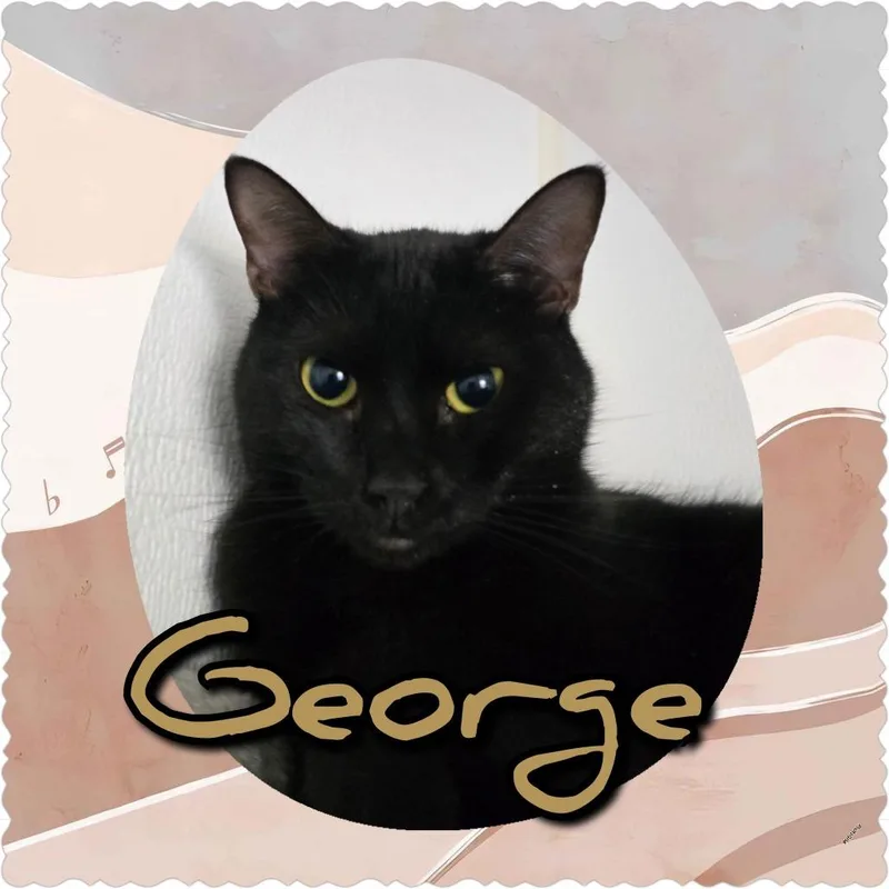 George