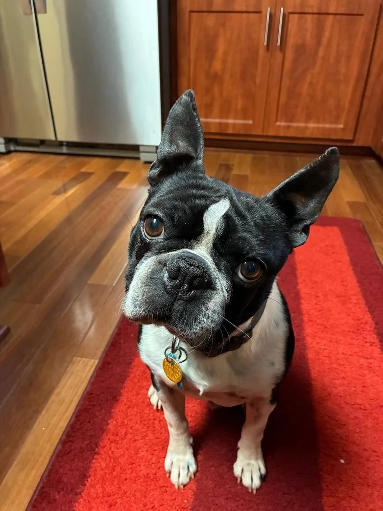 George