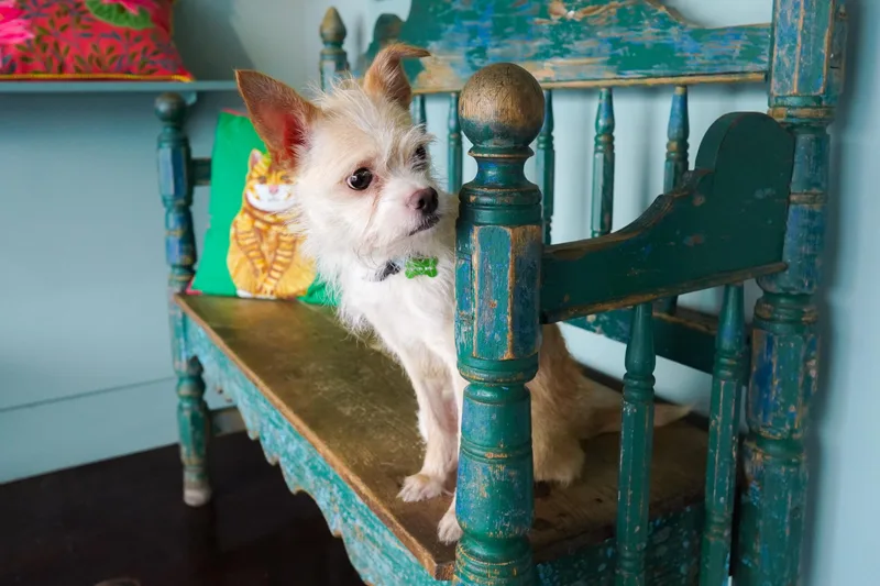 Praline thumbnail 2